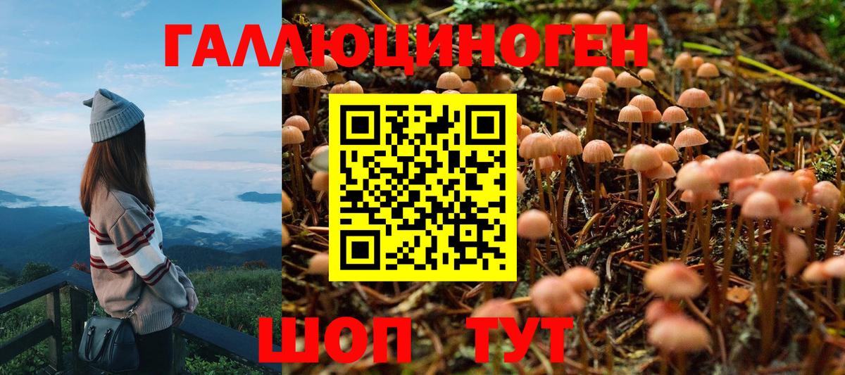 Псилоцибиновые грибы GOLDEN TEACHER Тимашёвск